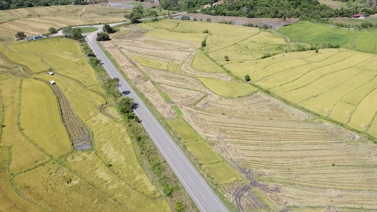 Gran Oportunidad para Inversionistas en la Zona Industrial de Tarapoto