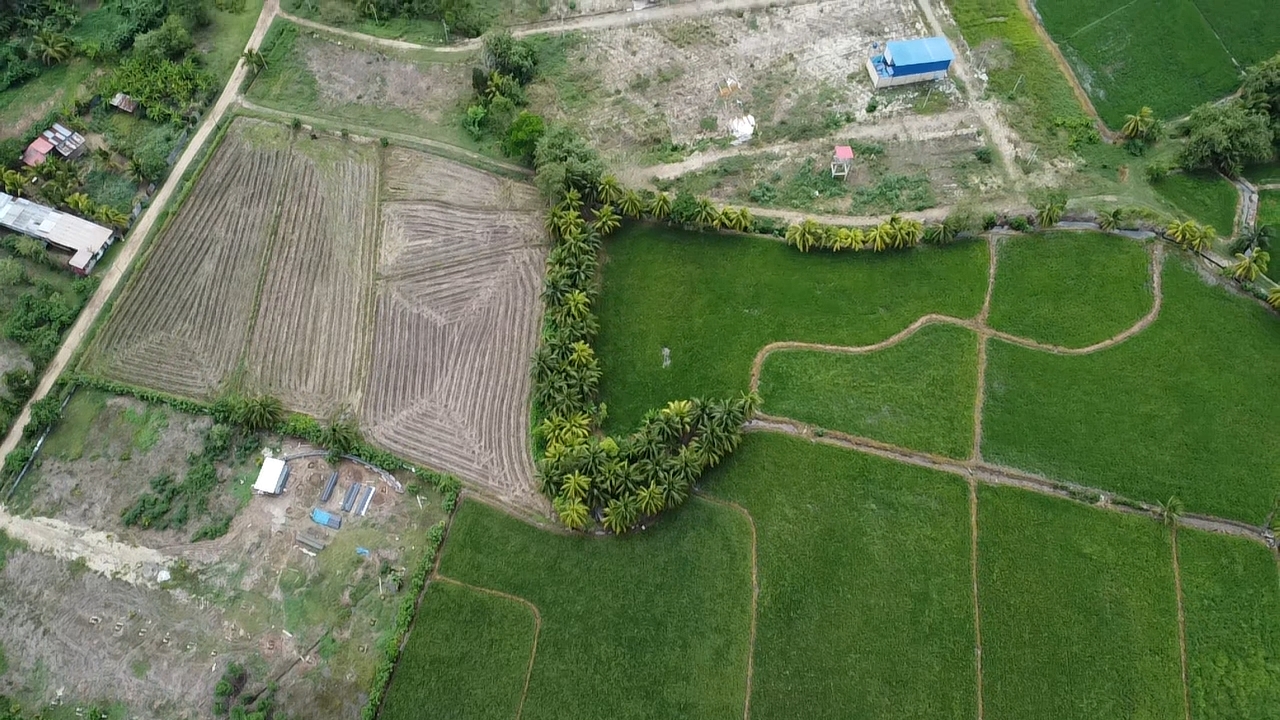 Terreno en venta ideal para proyecto inmobiliario o turístico en TARAPOTO