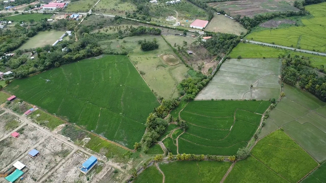 Terreno en venta ideal para proyecto inmobiliario o turístico en TARAPOTO