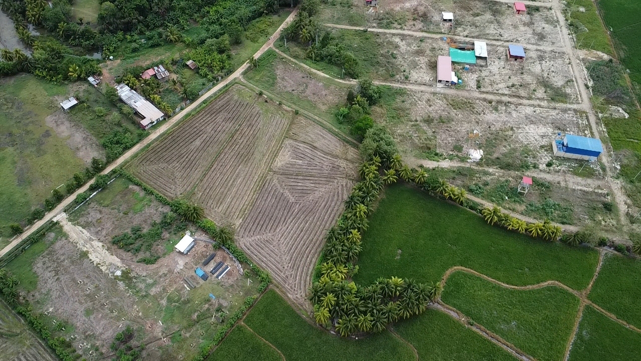 Terreno en venta ideal para proyecto inmobiliario o turístico en TARAPOTO