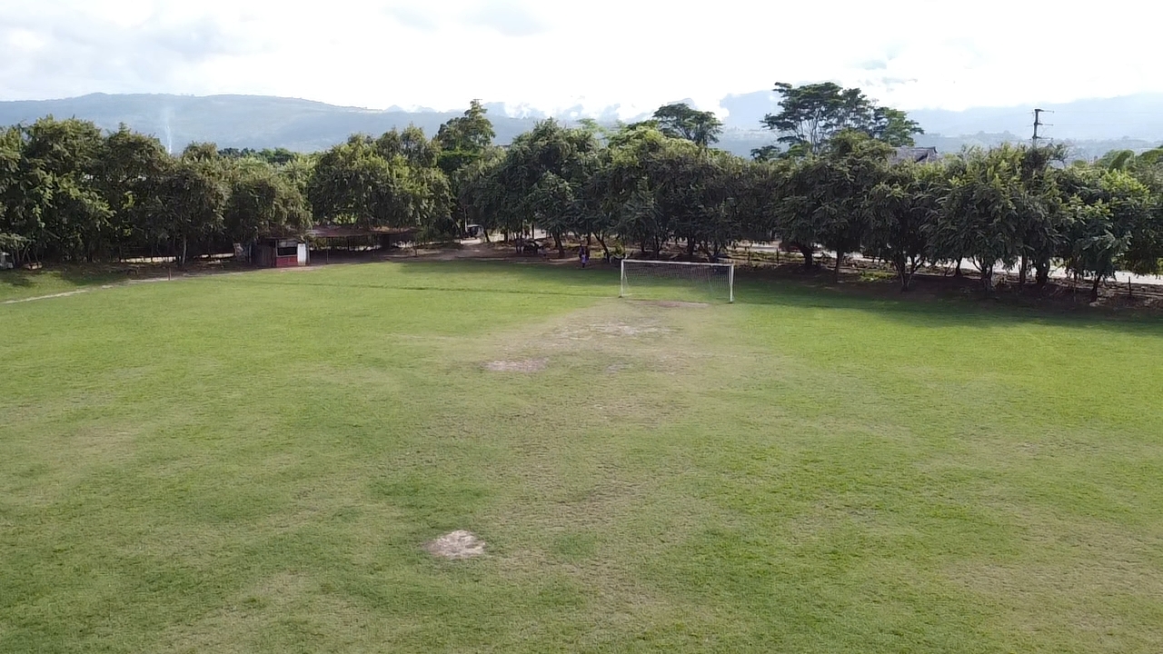Terreno en venta campo el TUMI de 1.5 hectareas en Tarapoto