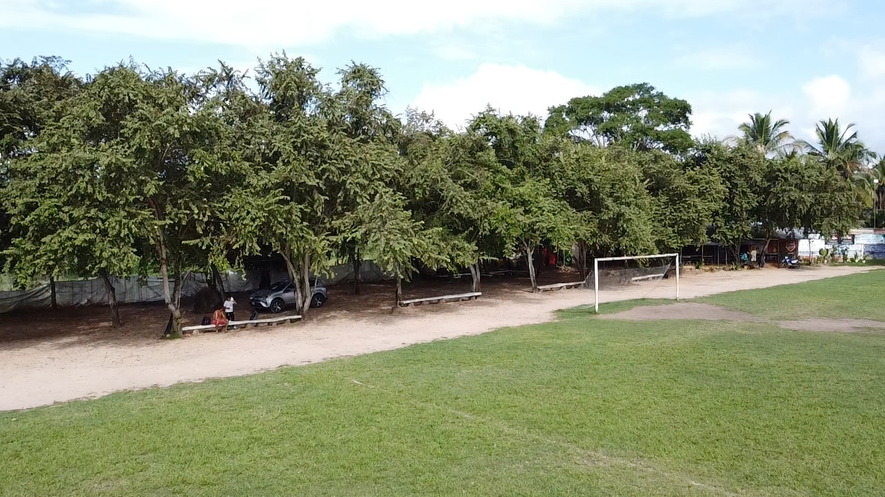 Terreno en venta campo el TUMI de 1.5 hectareas en Tarapoto